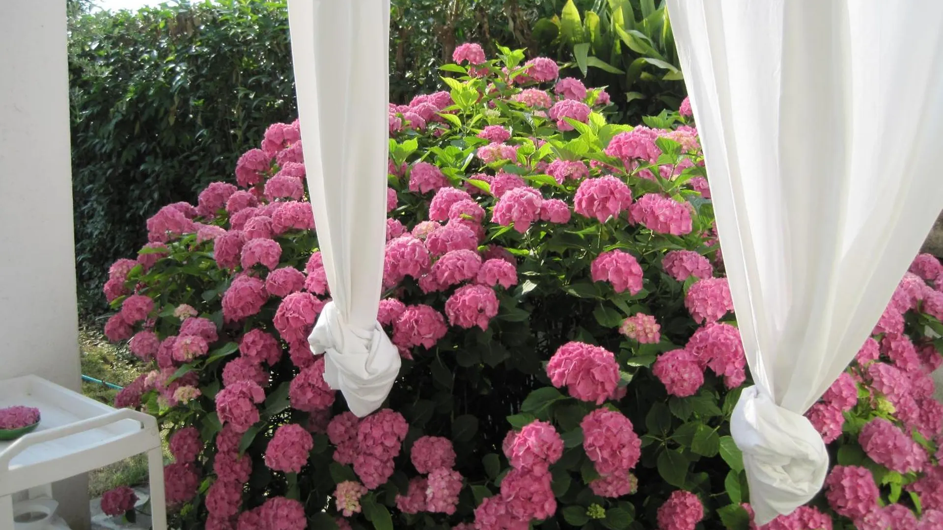 Stunning & Lovely Villa Manuela Salo Holiday home